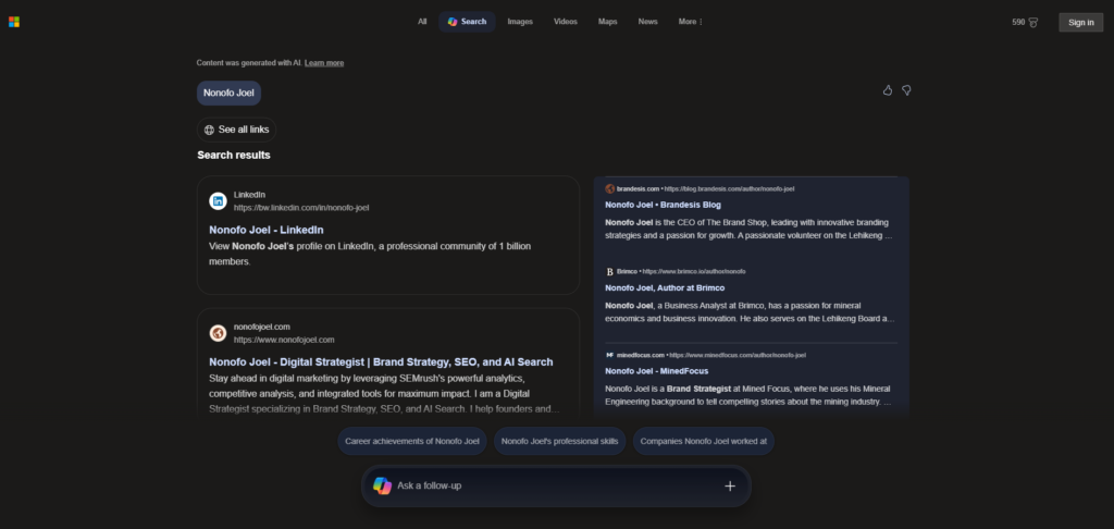 image | Nonofo Joel Dark-themed search results page showing two left-column cards (LinkedIn profile and website) and a right-column blog results panel for Nonono Joel.
